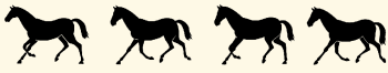 Silhouette Illustrating Stallion At A Flying Trot