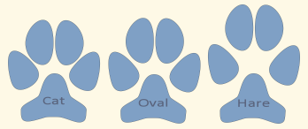 Revealing Paws Basic Dog Paw and Track Shapes