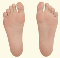 Human Feet Revealing Paws