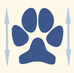 Track and Paw Illustration Of Length