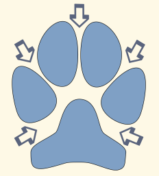 Negative Space of Canine Track