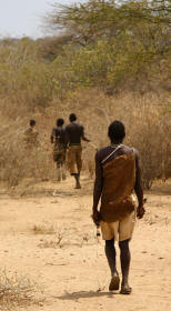 San Bushmen Tracking in Kalahari Desert